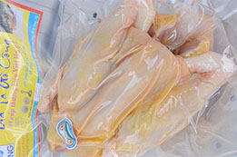 Gà mái nguyên con